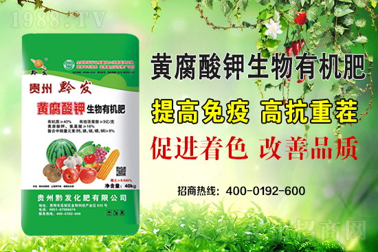 ǭ�l(f��)�ʘI(y��)�ٶȔy��1988.TV���y�ִ����������E��