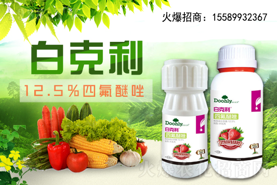 ���|���m(x��)�s1988.TV����(zh��n)�Ժ����P(gu��n)ϵ�������_�A��