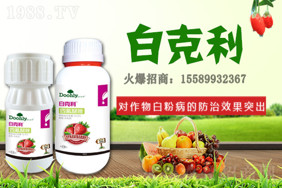 ���|���m(x��)�s1988.TV����(zh��n)�Ժ����P(gu��n)ϵ�������_�A��