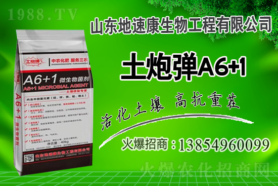    �����P(gu��n)ϵ�����A��ɽ�|���ٿ��c1988.TV�_(k��i)����ƪ�£�