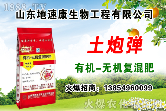    �����P(gu��n)ϵ�����A��ɽ�|���ٿ��c1988.TV�_(k��i)����ƪ����