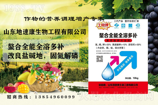    �����P(gu��n)ϵ�����A��ɽ�|���ٿ��c1988.TV�_(k��i)����ƪ����