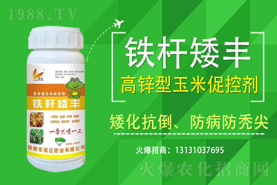 2021��7��13�ս������׃r(ji��)�������Ո�(b��o)