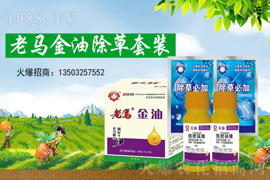 �ݸ�좃r(ji��)��(chu��ng)�¸���2021��7��15�ղݸ�좃r(ji��)���߄�(sh��)