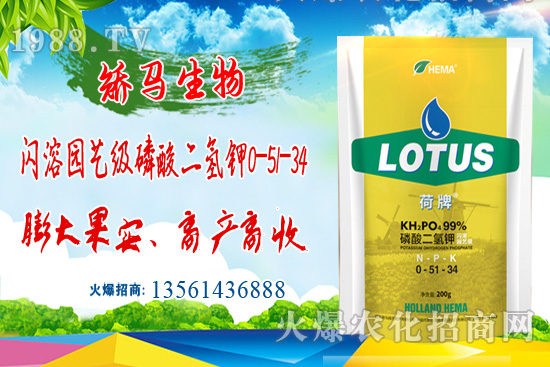 農(nóng)作物受洪澇災(zāi)后的損害及補(bǔ)救措施