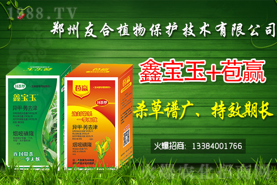 2021��7��26�����z���݄��r(ji��)������