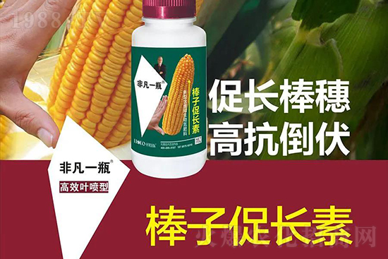 ���׃r(ji��)��