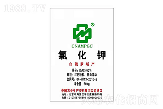 ⛷��ٶ��ϝq������⛷ʃr�����������7��30�գ�