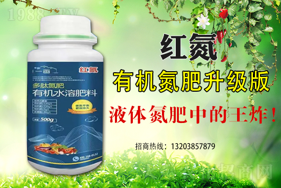 玉米為什么會出現(xiàn)早衰這種現(xiàn)象?如何避免玉米早衰?