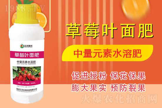 �����l(f��)չ������(chu��ng)δ�����������ﺞ�s1988.TV������(chu��ng)���x����