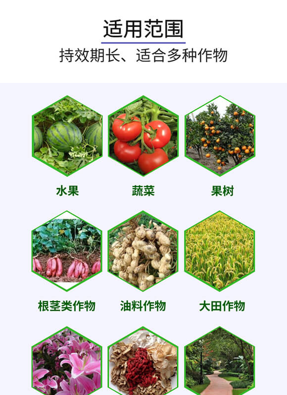 ��������0-52-34-�W��(l��)��-����(l��)��_05