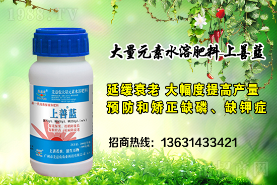 �V���������r(n��ng)�ٶȔy��1988.TV���y�ֹ���(chu��ng)��(zh��n)��(j��)��