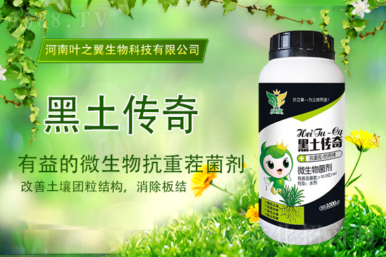 �������؈�(b��o)�r(ji��)��2021��9��15�Շ���(n��i)�������؃r(ji��)������