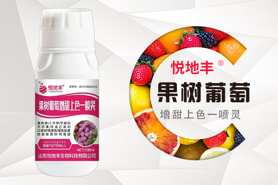 ����ʩ��