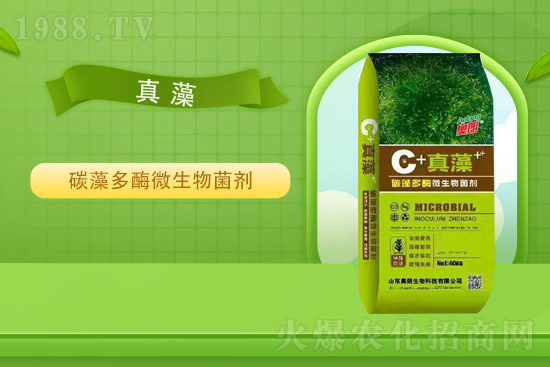 �Ȼ�⛃r(ji��)��ƽ��(w��n)��2021��9��2�Շ�(gu��)��(n��i)⛷ʃr(ji��)���߄�(sh��)