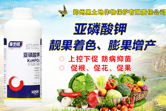 һ�@�Ј�(ch��ng)��(b��o)�r(ji��)��2021��9��2�����@�r(ji��)������