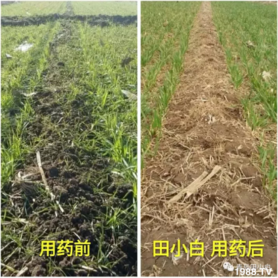 ��(ji��)��(ji��)��Σ����(y��n)����ô������ʲôˎ��Ч������