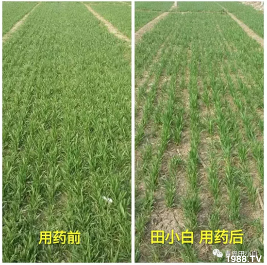 ��(ji��)��(ji��)��Σ����(y��n)����ô������ʲôˎ��Ч������