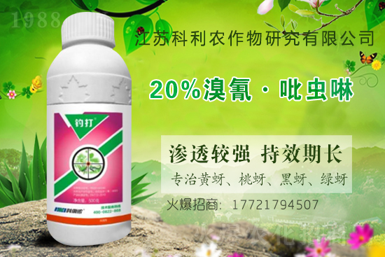 ���x(ch��ng)���r(ji��)��