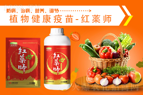 ���@�r���λ��ͦ��2021.9.4�������@�r�����飺