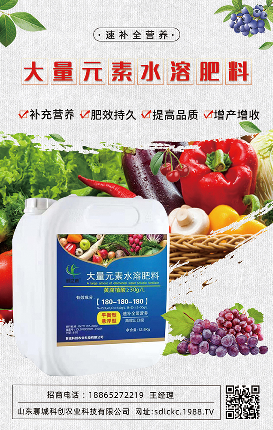 ɽ�|�ĳǿƄ�(chu��ng)�ٺ�1988.TV�����\�������p�A��