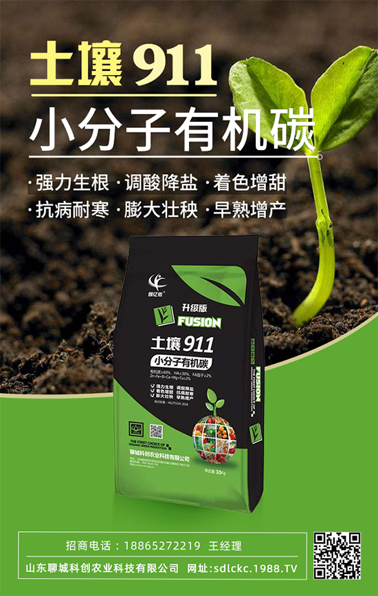 ɽ�|�ĳǿƄ�(chu��ng)�ٺ�1988.TV�����\�������p�A��