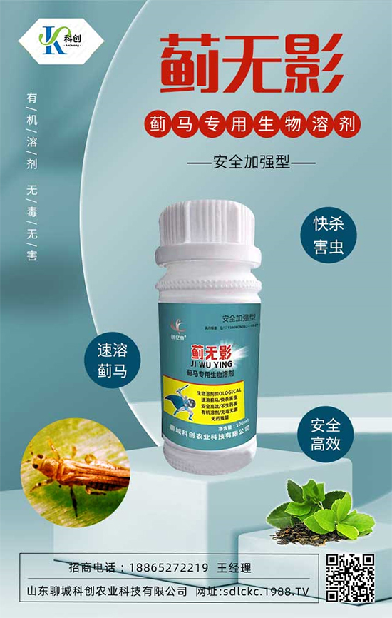 ɽ�|�ĳǿƄ�(chu��ng)�ٺ�1988.TV�����\�������p�A��