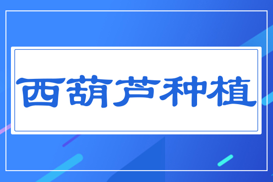 �����J�Nֲ