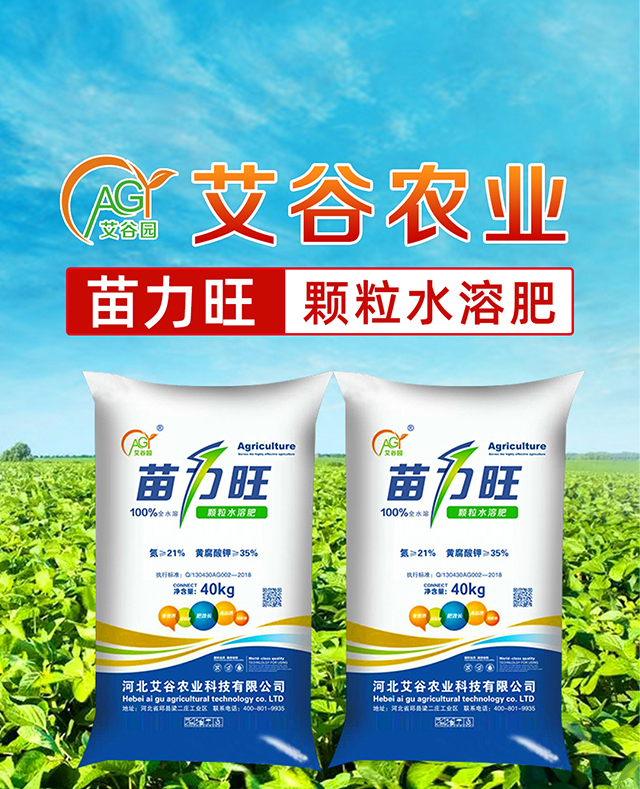 ������-�����r(n��ng)�I(y��)_01