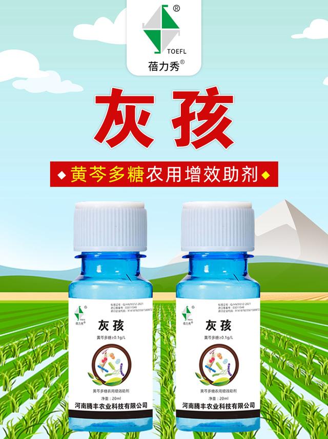 �Һ�-������-�v�S�r(n��ng)�I(y��)_01