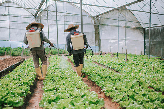 �ذ������ߌóɶ��N�I(y��)���[��(hu��)���n11��18��