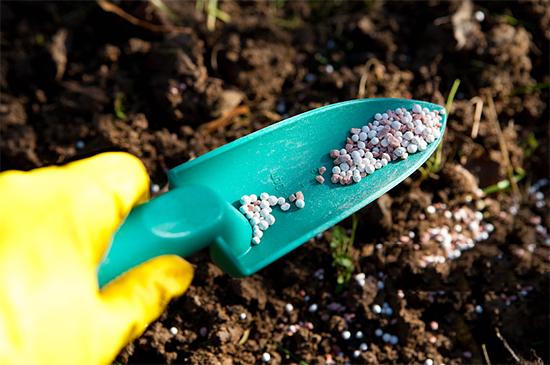 �ذ������ߌóɶ��N�I(y��)���[��(hu��)���n11��18��