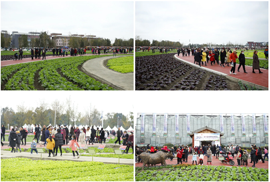 �ذ������ߌóɶ��N�I(y��)���[��(hu��)���n11��18��