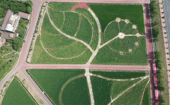 �ذ������ߌóɶ��N�I(y��)���[��(hu��)���n11��18��