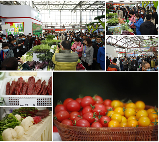 �ذ������ߌóɶ��N�I(y��)���[��(hu��)���n11��18��