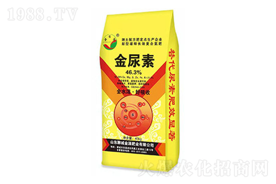 ���؃r���ϝq��2022.3.11���؃r������һ�[