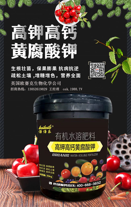 һ���S�����=�����������������ЙC(j��)�����S����⛞�����������