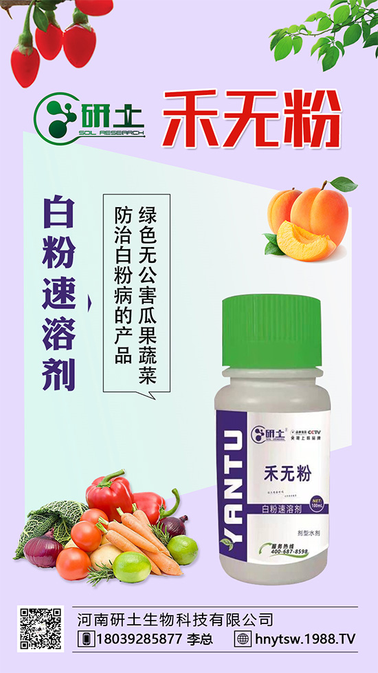 ���Ѱ׷۲��������l(f��)���������ֱ�׷۲���