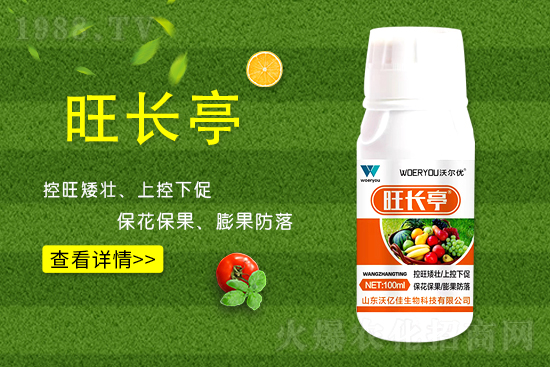 什么是黃瓜旺長(zhǎng)？黃瓜旺長(zhǎng)的防控措施