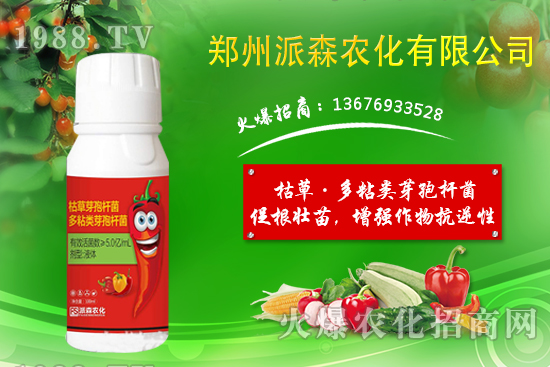 ������ù��