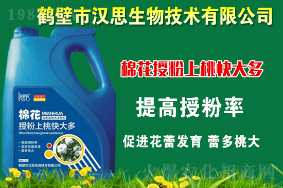 �޻��Nֲ��ô�������޻������L�ڹ���Ҫ�c(di��n)