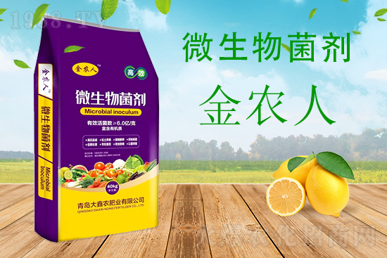 С���ƌW����������������ԓ��ô����