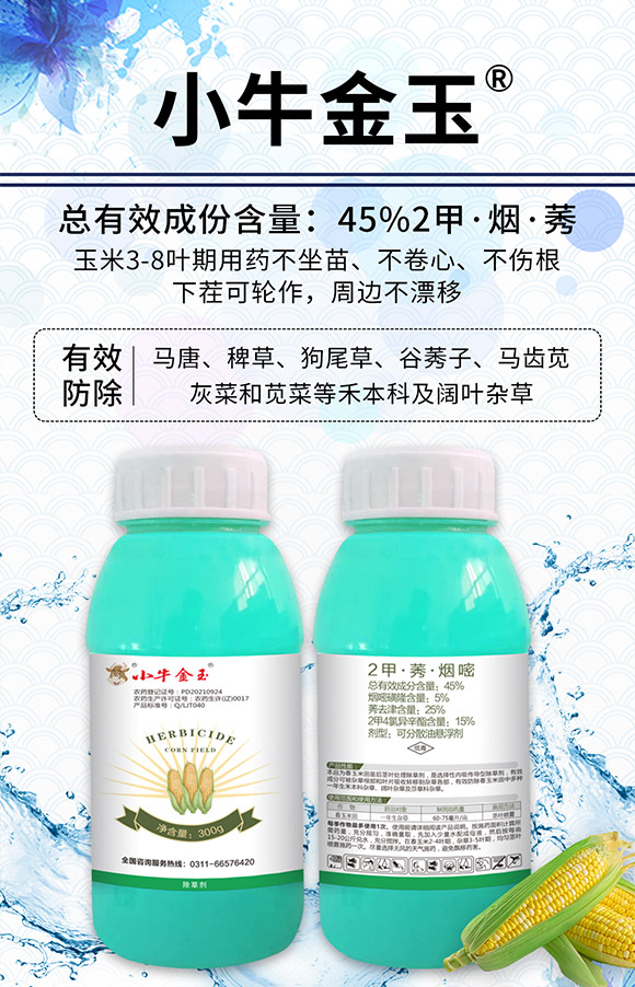 �ӱ������r(n��ng)�I(y��)�Ƽ����޹�˾910058_01