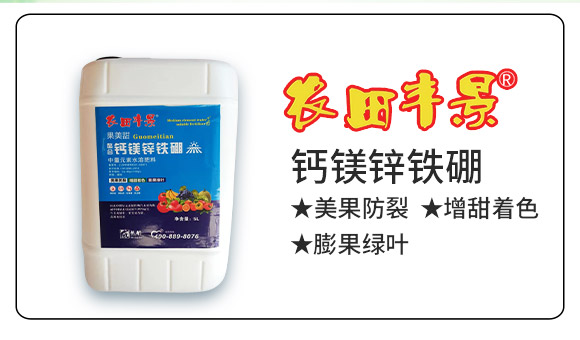 ������ʩ������Ƽ����޹�˾923598_02