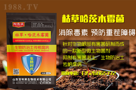 ���������l(f��)��ô��������������ʲôˎ�÷���Ч������