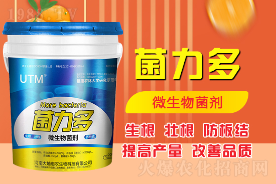 ������ʺͻ��ʵă�(y��u)�݌������������Ч�������