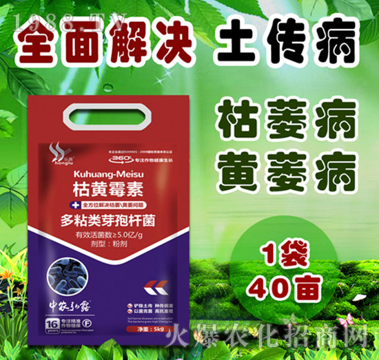     ��(x��)���Բ�������Щ������ˎ����ô�x��һƪ�����f����