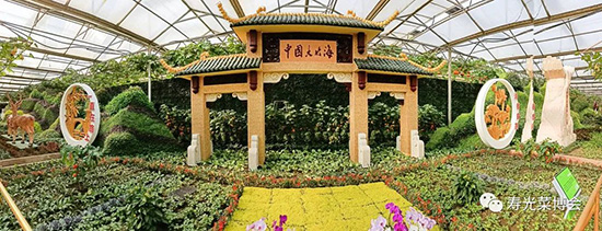 �ڶ�ʮ���É۹�˲���3