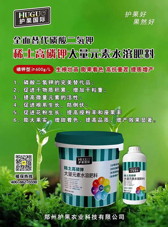 ⛷ʴ�q�r���@�N⛷���ݶ��ϣ����������������ռ���f�Ј�