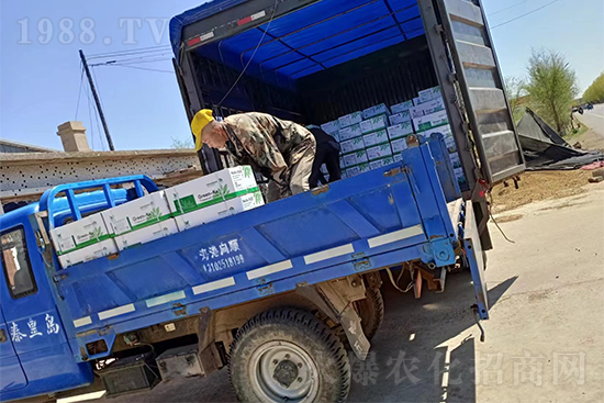 ���N��Ʒ����(sh��)���S�ң�����2̖�l(f��)؛��ͣЪ